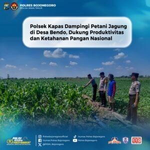 Polsek Kapas Dampingi Petani Jagung di Desa Bendo, Dukung Produktivitas dan Ketahanan Pangan Nasional